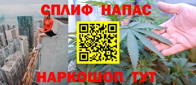 сатива Бийск