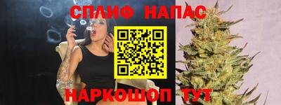 хмурый Бийск
