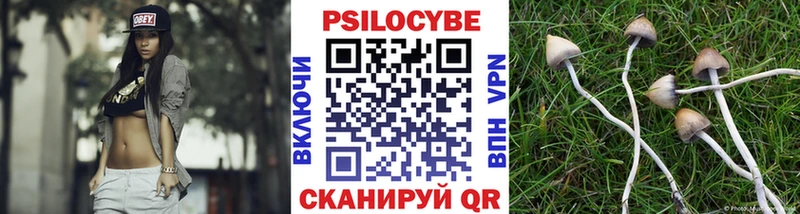 Псилоцибиновые грибы Magic Shrooms  где найти наркотики  Видное 