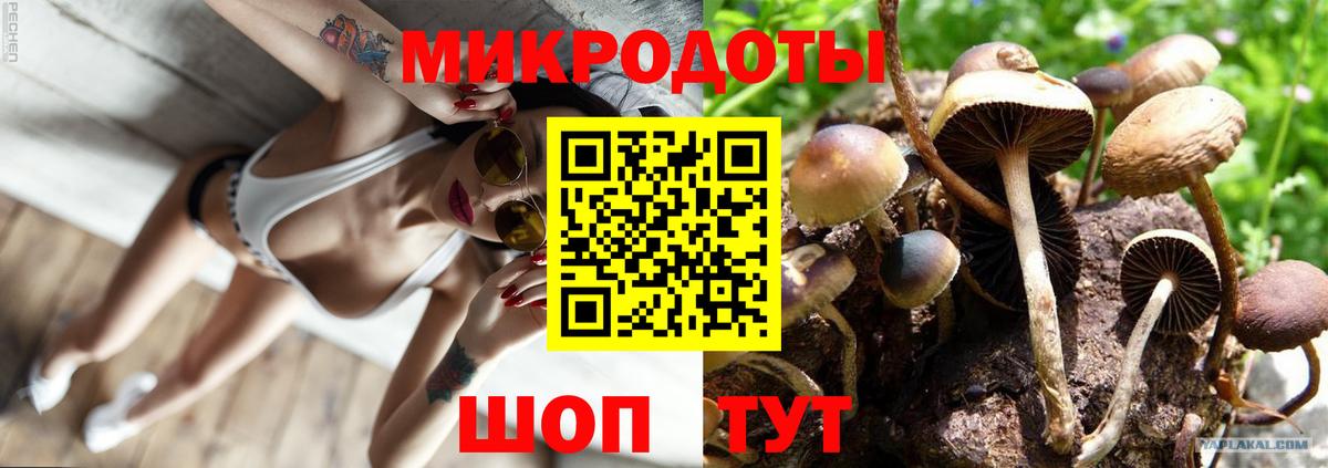 Галлюциногенные грибы ЛСД Видное