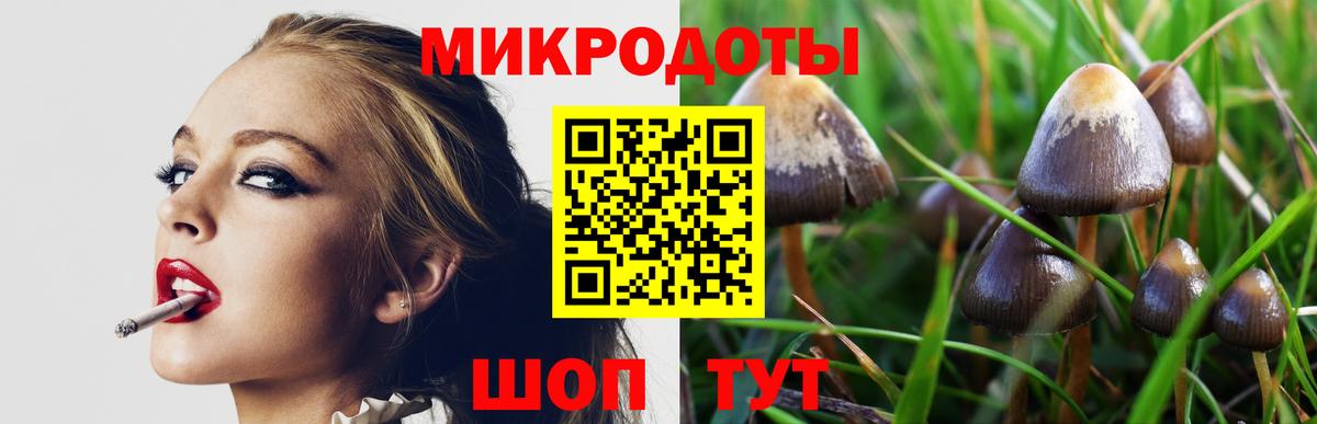 Видное  Псилоцибиновые грибы мухоморы  Вход с VPN  Галлюциногенные грибы GOLDEN TEACHER 