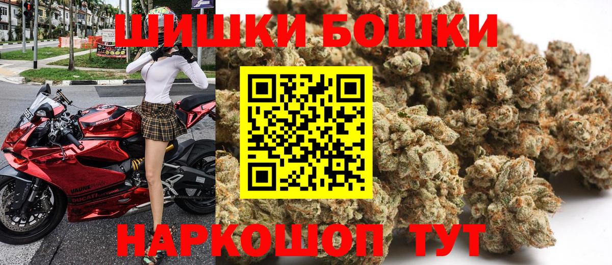 Канабис OG Kush Видное